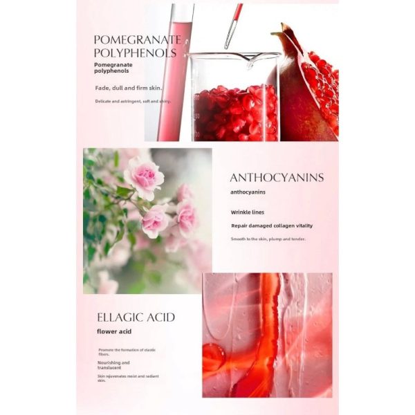 Pomegranate 6pc Skin Care Hyaluronic Acid Set - Image 3